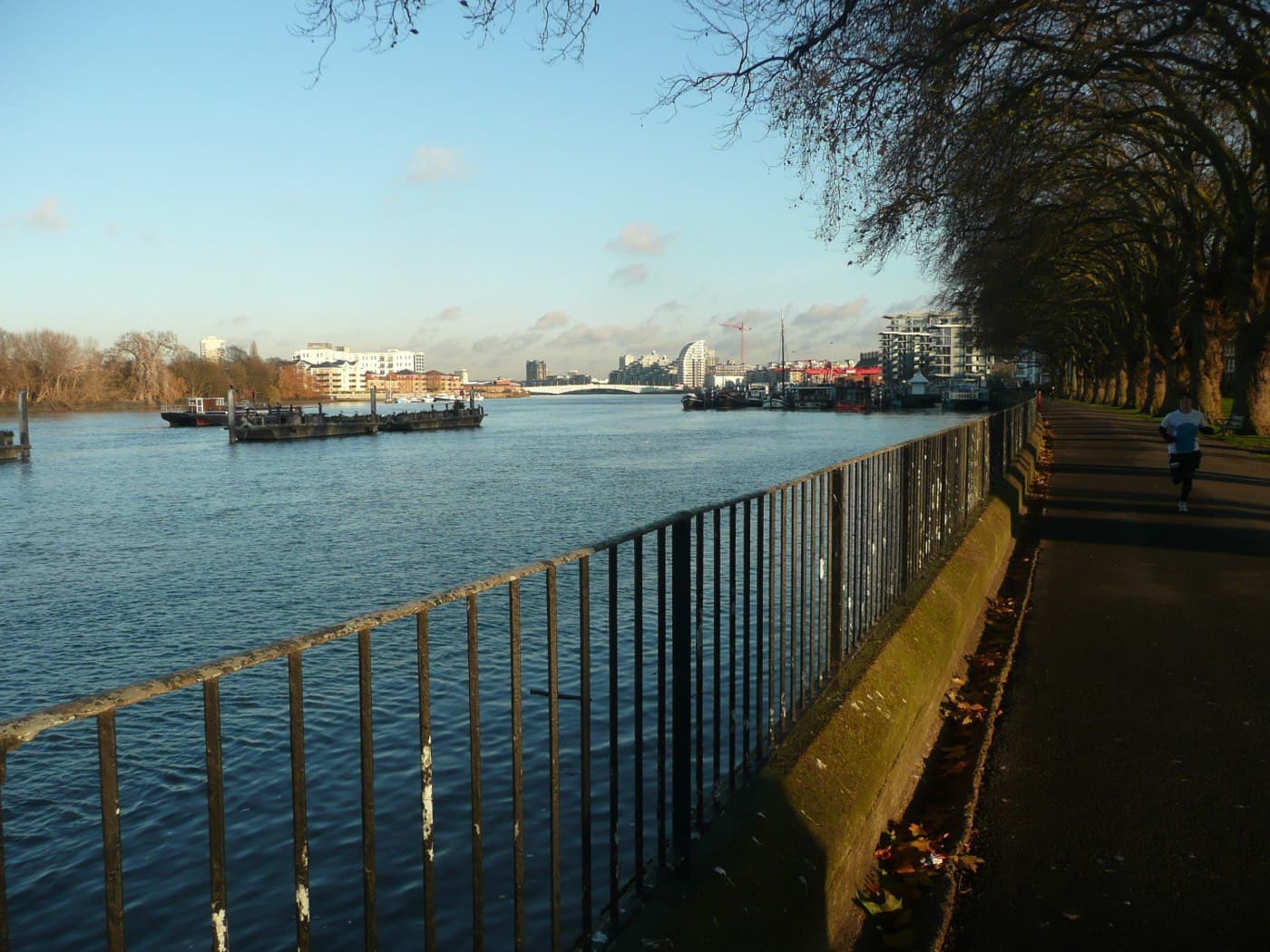 the Thames at Wandsworth Park, in the Wandsworth council area