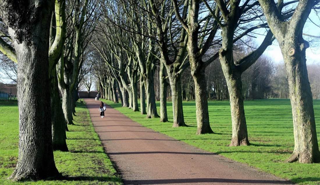 Rotherham, in the Rotherham constituency