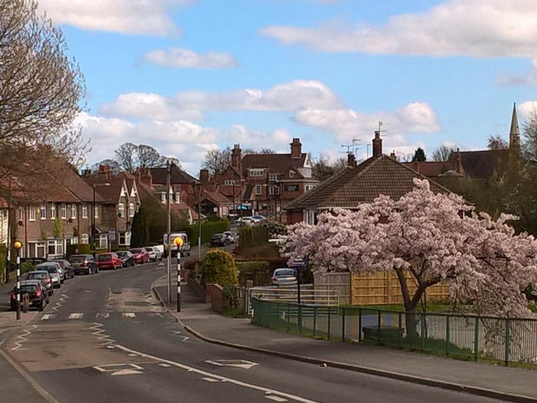 Dringhouses, in the York Outer constituency